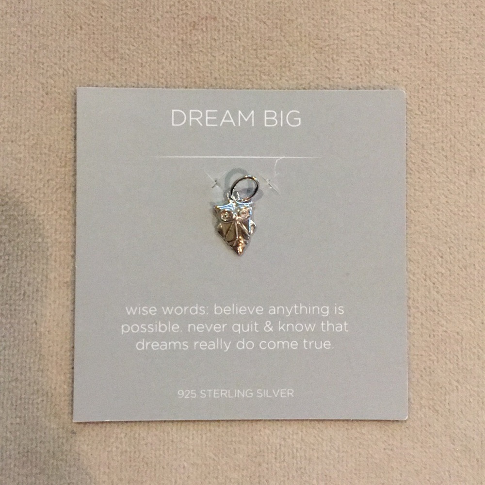 Origami owl Owl charm